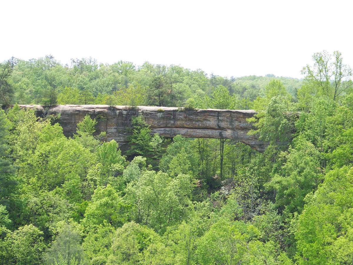 Natural Bridge State Resort Park Slade Exterior foto